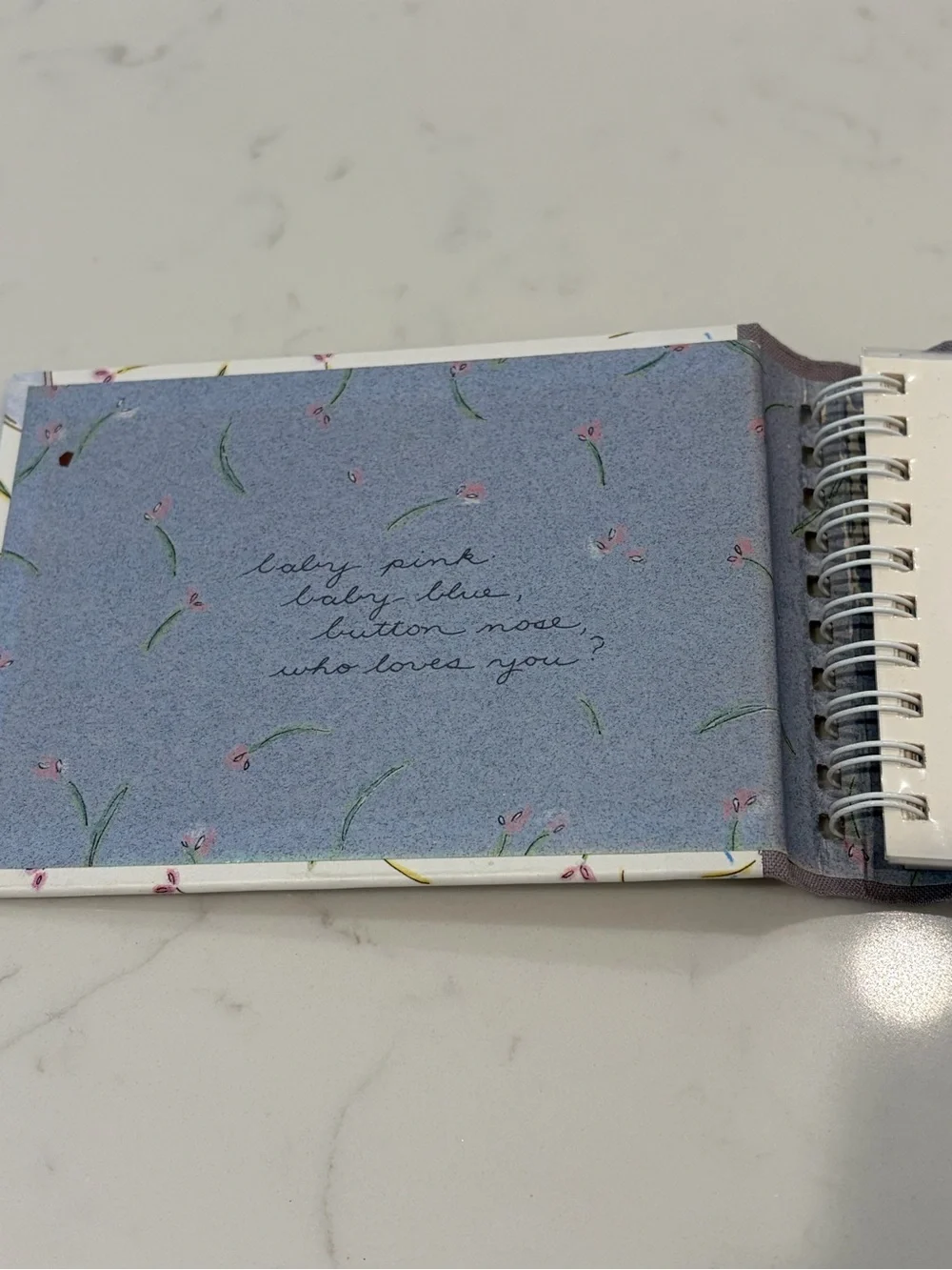 Vintage: Baby's Keepsakes Memory Book - Pink and Cream